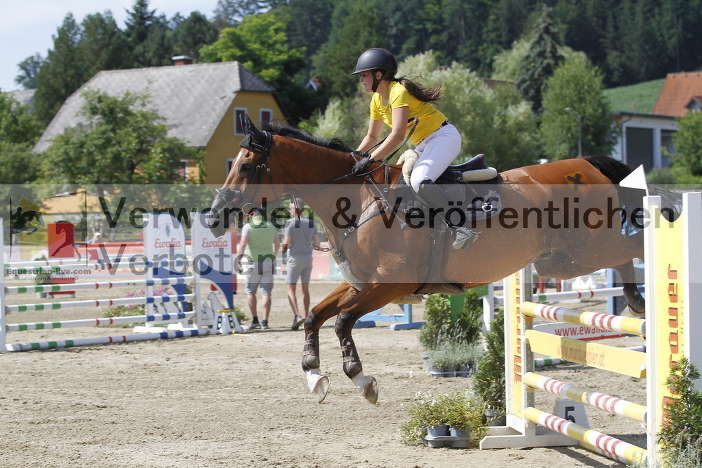 _MG_6167 | equestrian-live-com