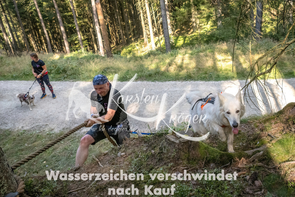 1052_ZZ93264 | kk-dogfotos