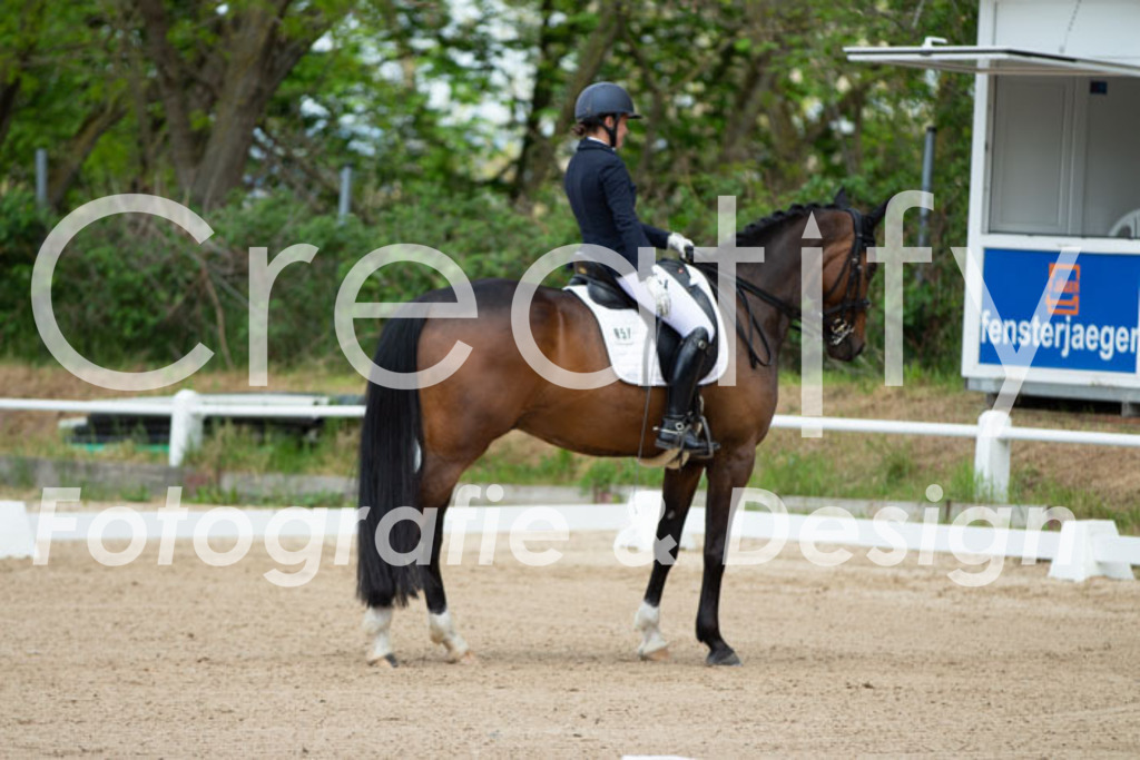 IMG_6024 | Creatify Fotografie