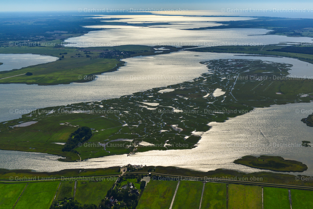 3638166 | Große Kirr, Nationalpark Vorpommersche Bodenlandschft, ZINGST 25.08.2016 Salzgrasland- Insel und Vogelschutz- Gebiet in Zingst an der Ostseeküste im Bundesland Mecklenburg-Vorpommern, Deutschland.