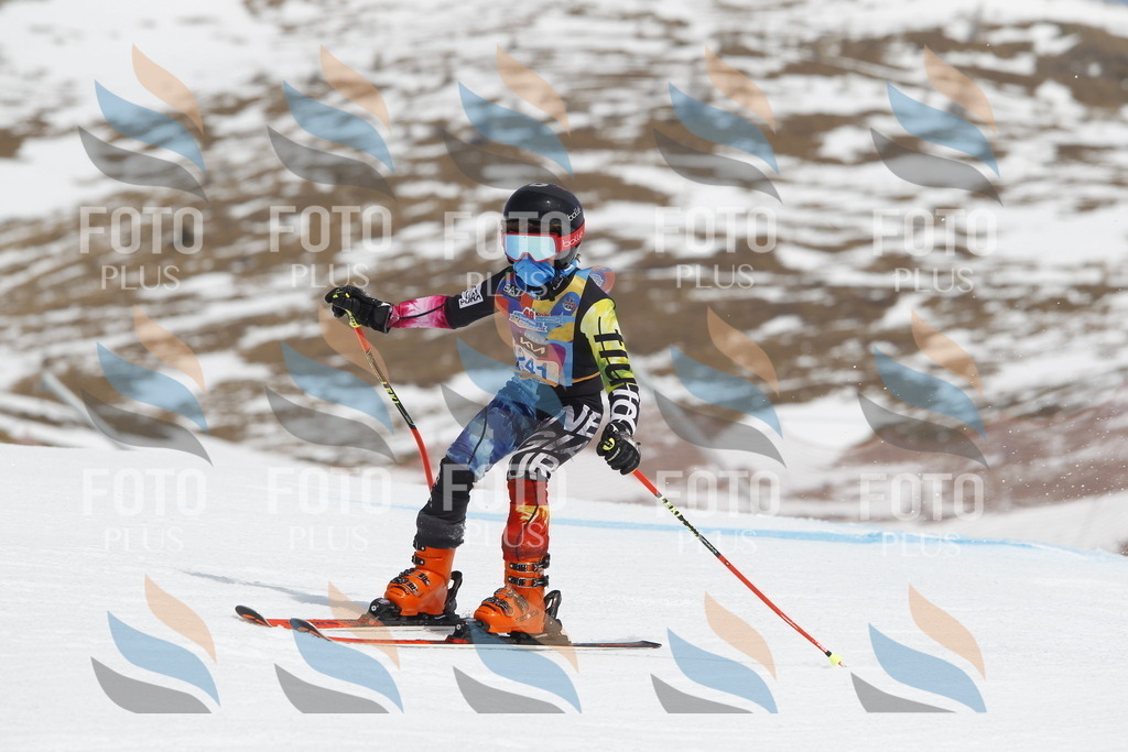 _U3G2701 | holidayphoto