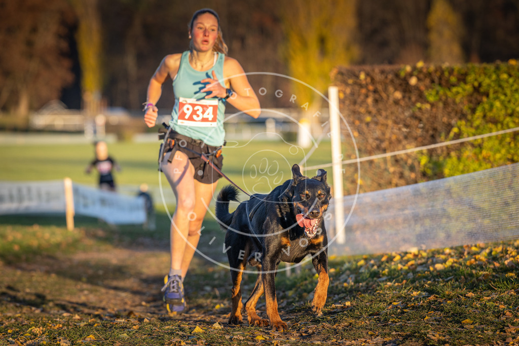 CaniXpix_DV3A5207 | Hundefotografie, Tierfotograf, Pfotenfotografie, Fotoshooting Hund, Hunde Portrait, Hundesport, Hundeportraits, Heideshooting, Hunde, Sportfotograf, Hundefotograf, Turnierhundsport, THS,  - Realisiert mit Pictrs.com