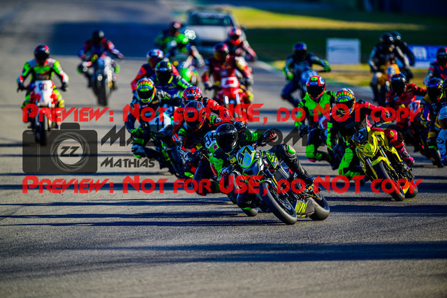 MaZZes_Fotomatrix_20240921_6007705_7909-2 | TWIN