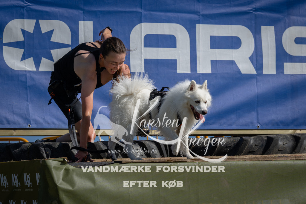 1048_ZZ99164 | kk-dogfotos