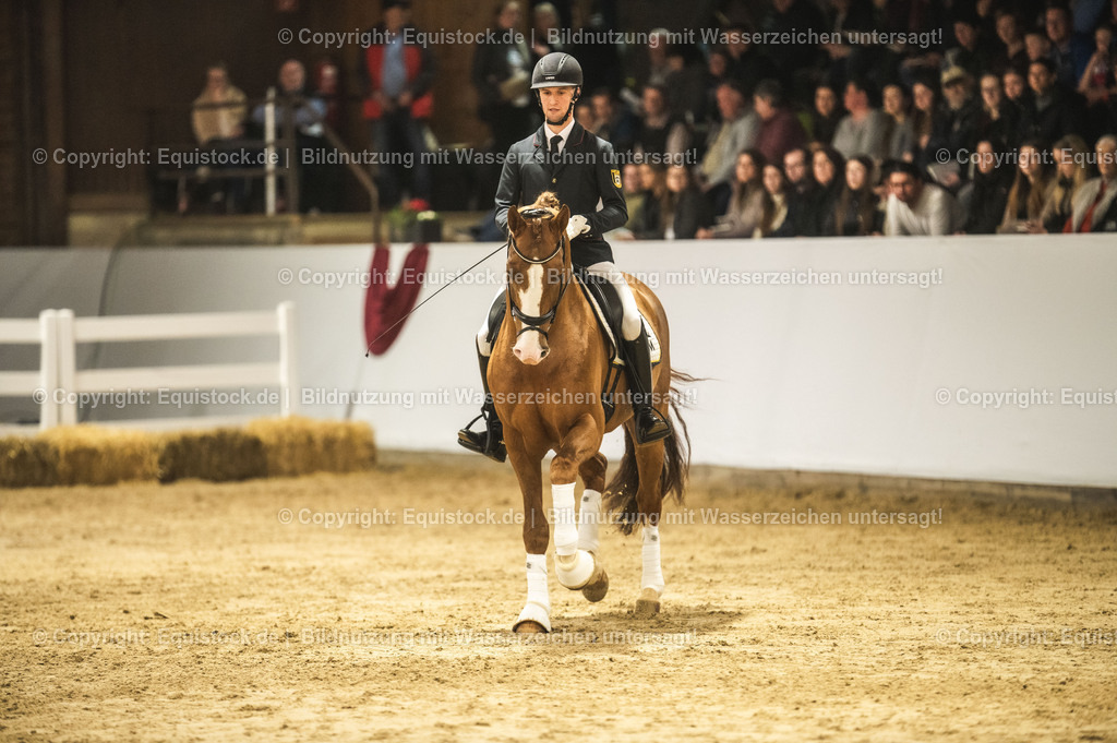 20240302_Hengstvorstellung_Marbach_TOMsPiC_0568 | equistock