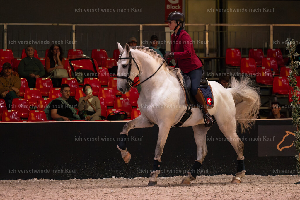 JoseraCup-100 | working equitationturnier fotograf videograf stoibphotography marixx film working equitation deutschland reitsport turnierfotografie eventfotografie equestrian events