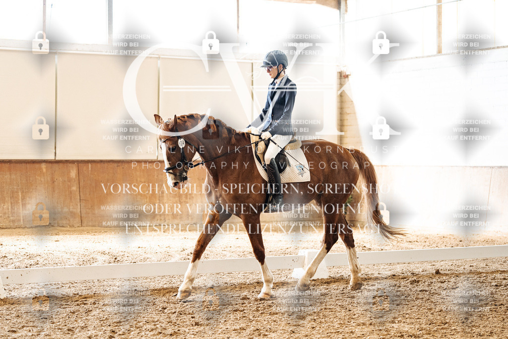 CK900120 | Turnierfotografie Pferdefotografie Trier Rheinland-Pfalz Pferdesport Reitsport Tierfotografie Sportfotografie Pferdevideo Pferdevideografie Equestrianvideography equestrianphotography  - Realized with Pictrs.com