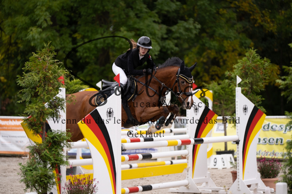 A7V09517 | Pferdefotograf