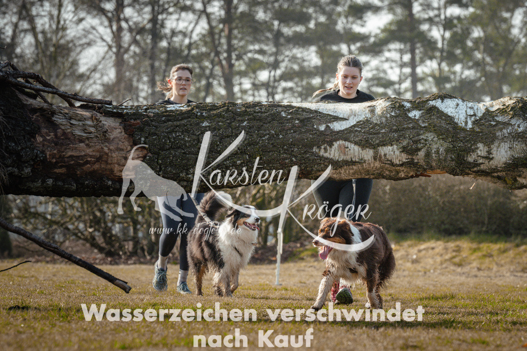 0954_ZZ90476 | kk-dogfotos