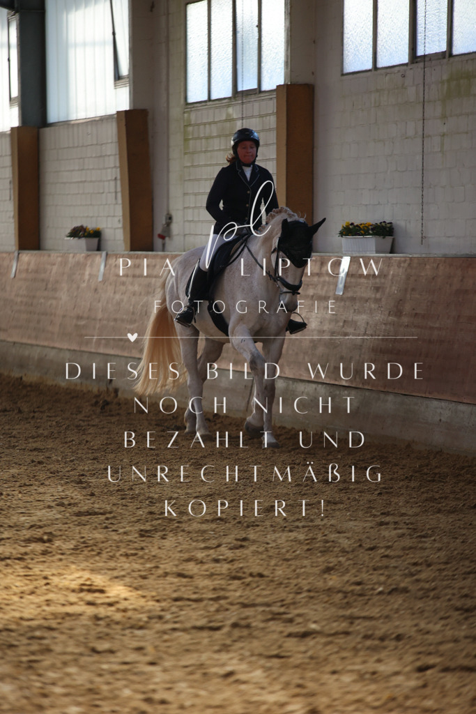 IMGT6542 | pl-fotografie