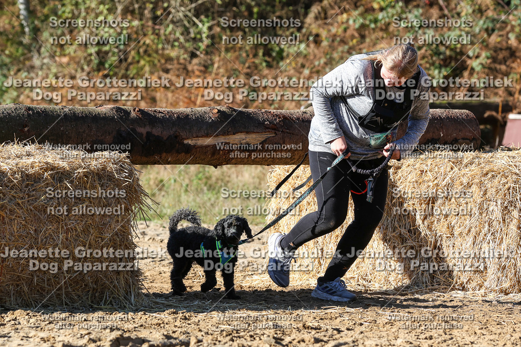 Dog Paparazzi - Strongdog 10-25-2244 | Dog Paparazzi Jeanette Grottendiek Fotografie & Videografie - Realisiert mit Pictrs.com