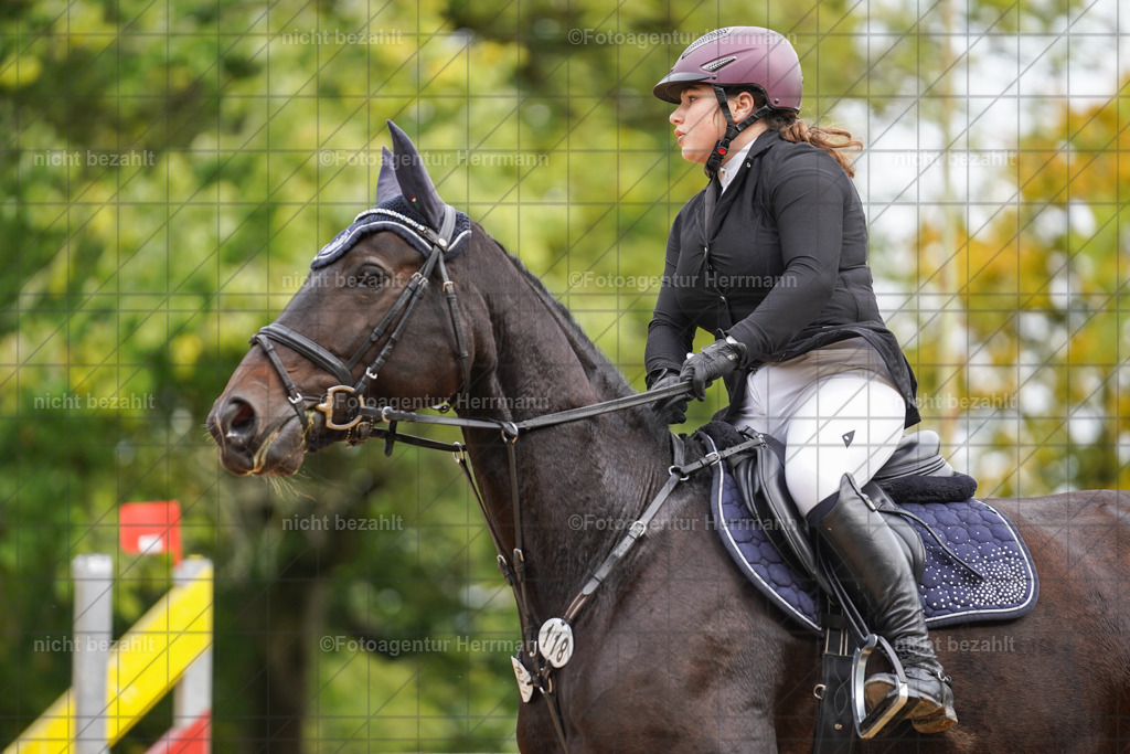 20221009-FAH08742 | Diessen am Ammersee, 2022, Dressur- und Springturnier, Reitsportbilder, Turnierfotografen Bayern, Pferdefotografen, Fotoagentur Herrmann, Turnierbilder