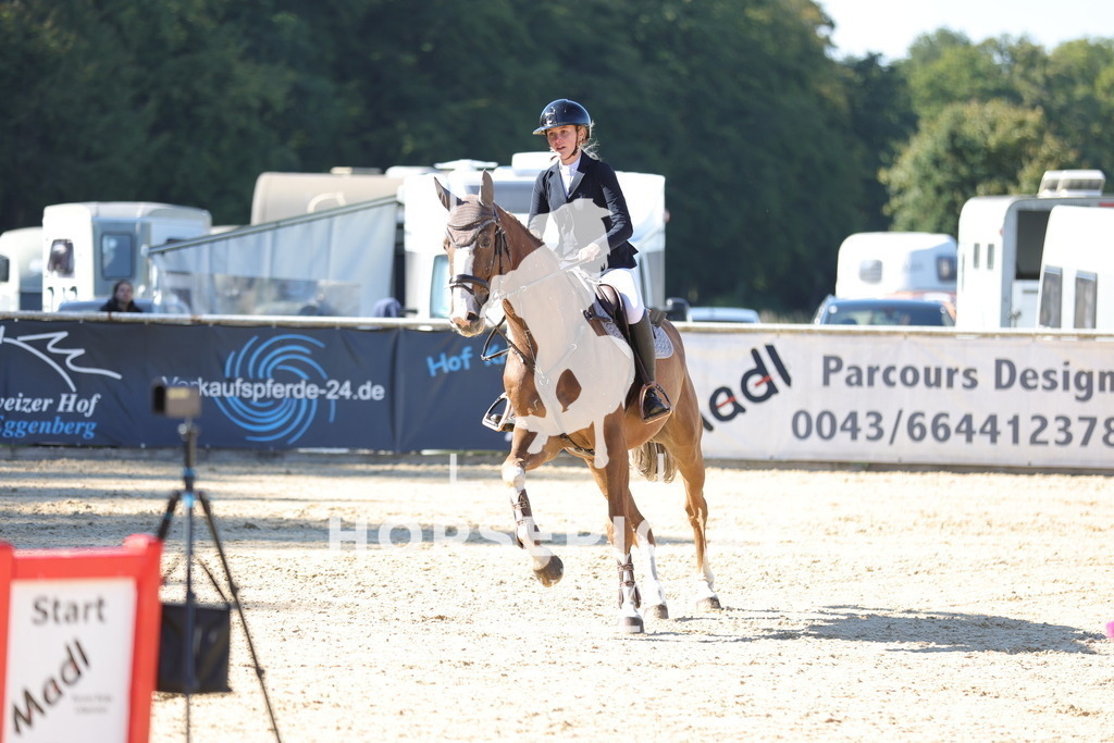 0P6A0337 | Willkommen bei Brunnmayr - Design & Fotografie – Ihrem Spezialisten für Reitturniere und Pferdeveranstaltungen in Oberösterreich, Salzburg und Bayern! Seit über 17 Jahren sind wir leidenschaftlich dabei.