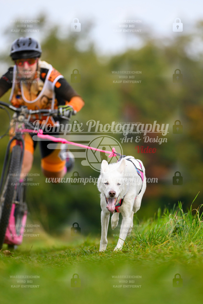 MompixPhotography_CDLBDB2025_DI_DS-94 | PayLife