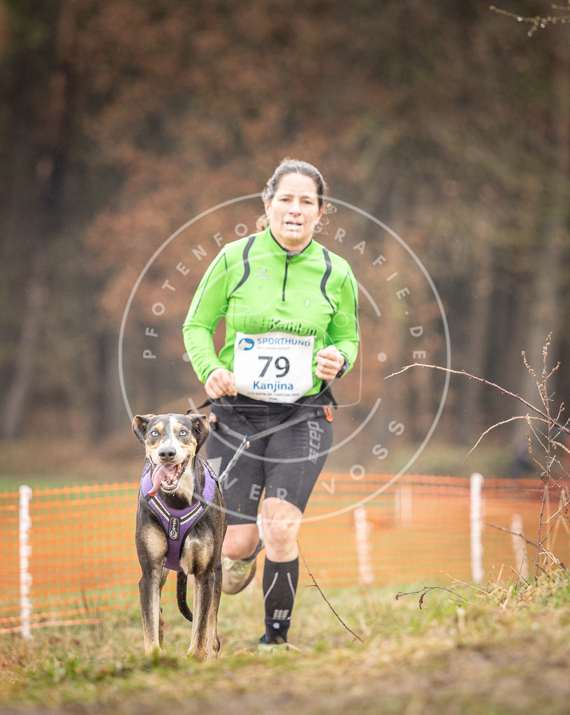 DV3A0315 | Hundefotografie, Tierfotograf, Pfotenfotografie, Fotoshooting Hund, Hunde Portrait, Hundesport, Hundeportraits, Heideshooting, Hunde, Sportfotograf, Hundefotograf, Turnierhundsport, THS,  - Realisiert mit Pictrs.com