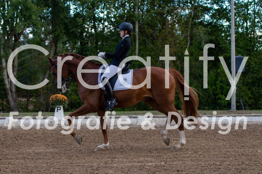 IMG_4240 | Creatify Fotografie