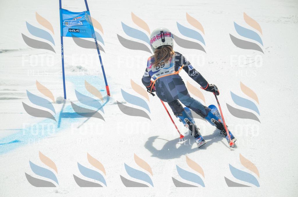 _ELE5304 | holidayphoto