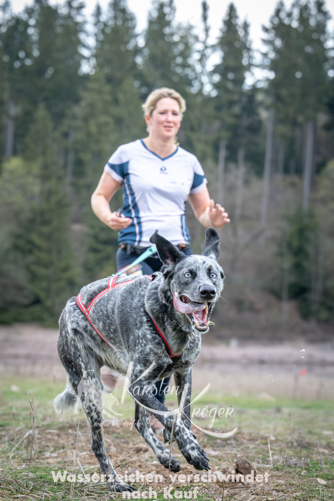 1813_ZZ94579-2 | kk-dogfotos