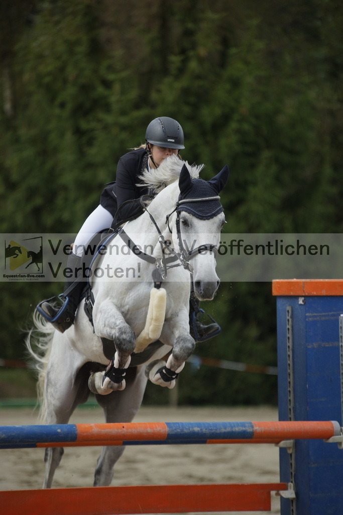 _DSC2933 | equestrian-live-com