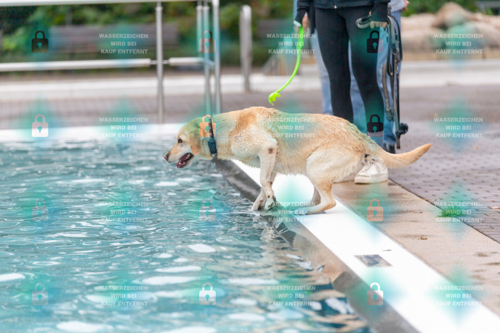 _HP_7128_1000o | HetPix, HetPix Fotodesign, Fotografie, Fotodesign, Webshop, Sportfotografie, Portraitfotografie, Onlineshop, Sportfotografie, Polch, Motorsportfotografie, Eventfotografie