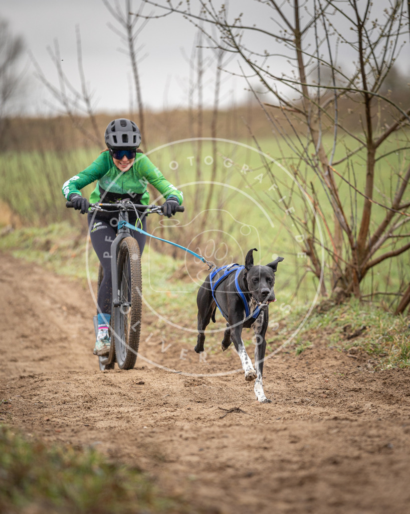 DV3A9173 | Hundefotografie, Tierfotograf, Pfotenfotografie, Fotoshooting Hund, Hunde Portrait, Hundesport, Hundeportraits, Heideshooting, Hunde, Sportfotograf, Hundefotograf, Turnierhundsport, THS,  - Realisiert mit Pictrs.com