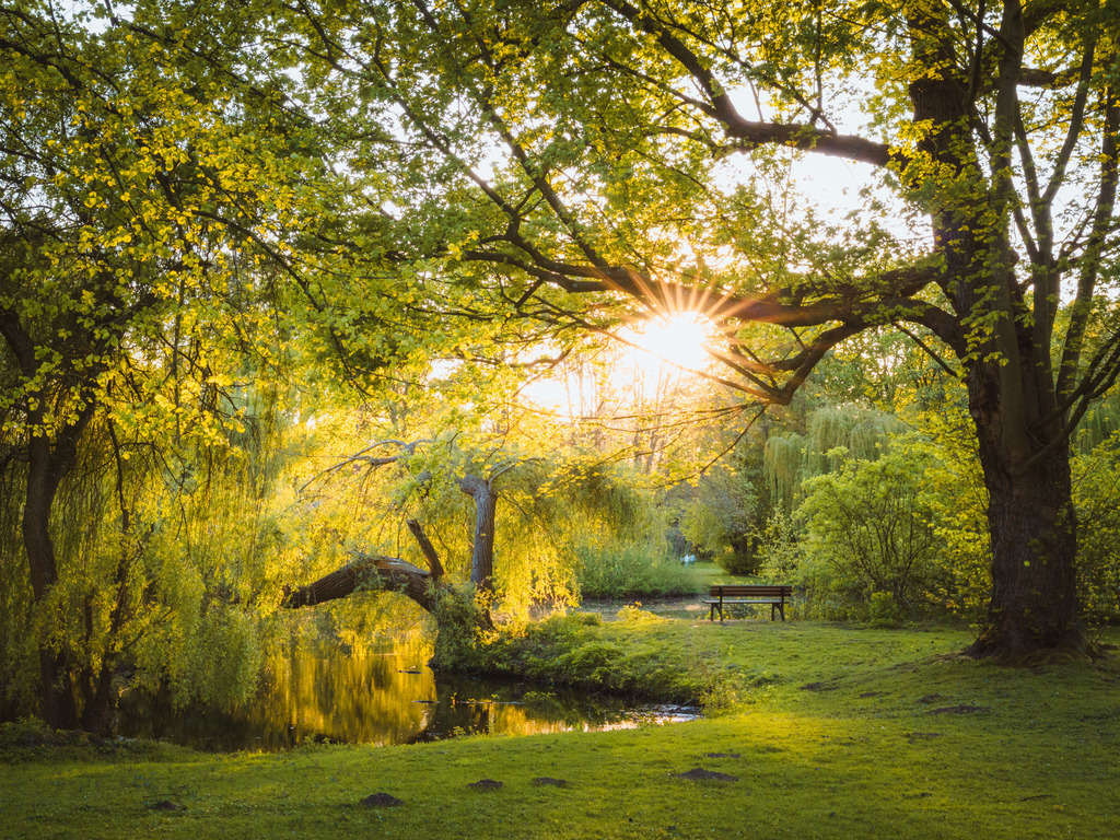 Bürgerpark | Entdecke exklusive Fotokunst aus Braunschweig: Bildband, Leinwände, Postkarten, Kalender, digitale Downloads & Bildlizenzen. Jetzt im offiziellen Beautiful Braunschweig Shop! - Realisiert mit Pictrs.com