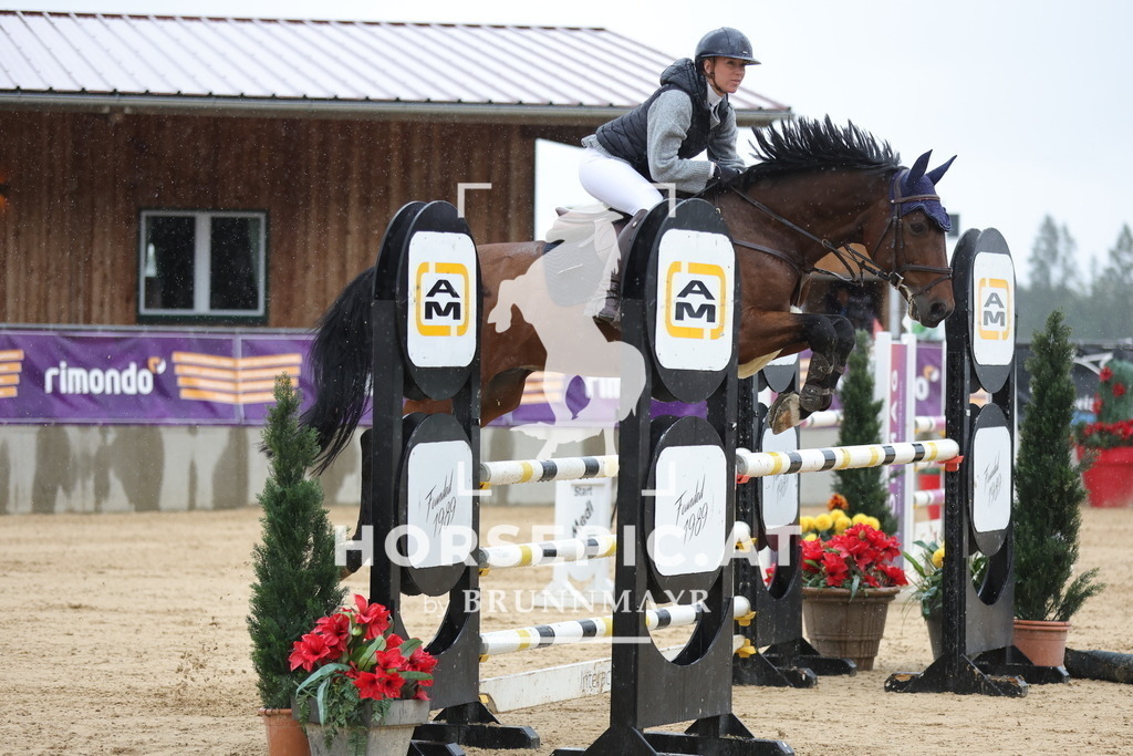 0P6A9254 | Willkommen bei Brunnmayr - Design & Fotografie – Ihrem Spezialisten für Reitturniere und Pferdeveranstaltungen in Oberösterreich, Salzburg und Bayern! Seit über 17 Jahren sind wir leidenschaftlich dabei.