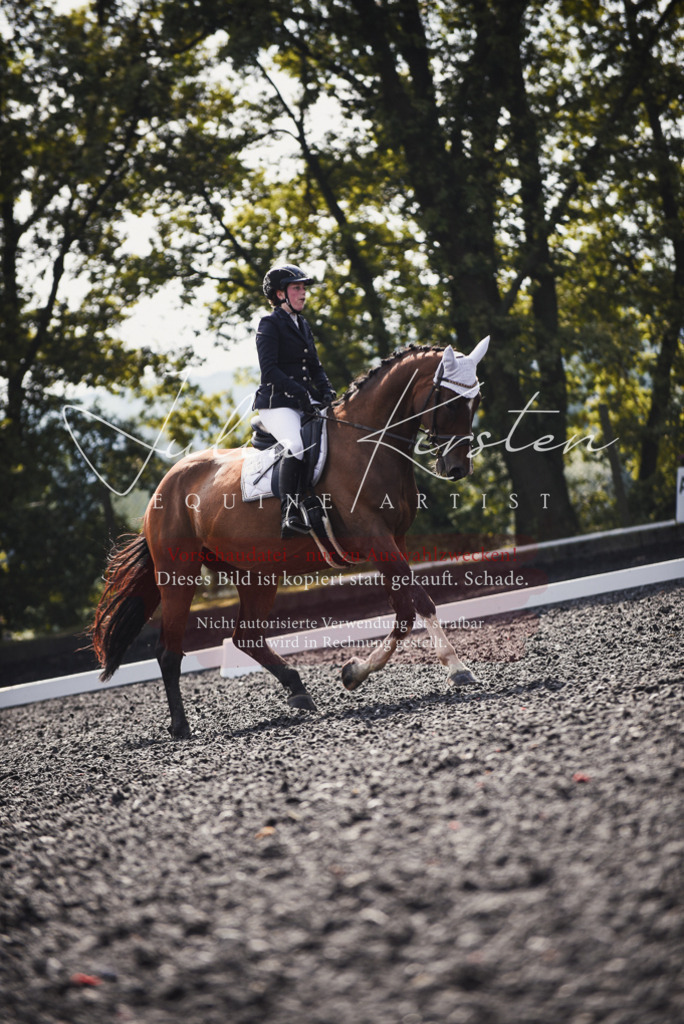 DSC_3572 | Pferde- und Turnierfotografie in Westsachsen. Pferdeportraits, Auftragszeichnungen und intuitive Kunst.