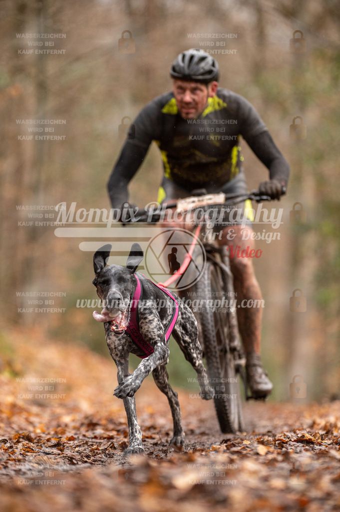 SPA_2023_DIM_Bike-8 | PayLife