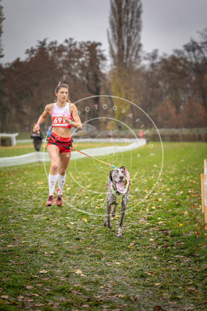 CaniXpix_DV3A9177 | Hundefotografie, Tierfotograf, Pfotenfotografie, Fotoshooting Hund, Hunde Portrait, Hundesport, Hundeportraits, Heideshooting, Hunde, Sportfotograf, Hundefotograf, Turnierhundsport, THS,  - Realisiert mit Pictrs.com