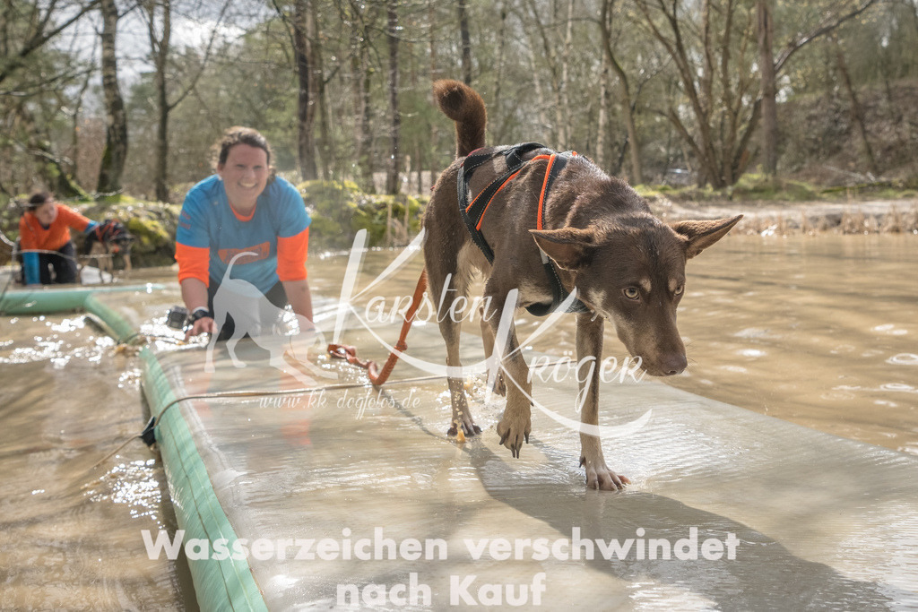 1351_ZZ90794-Bearbeitet | kk-dogfotos