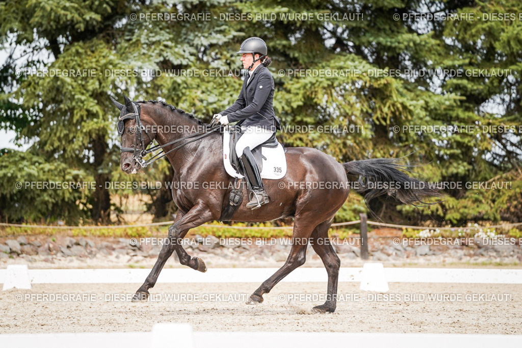 DSC06845 | Pferdegrafie