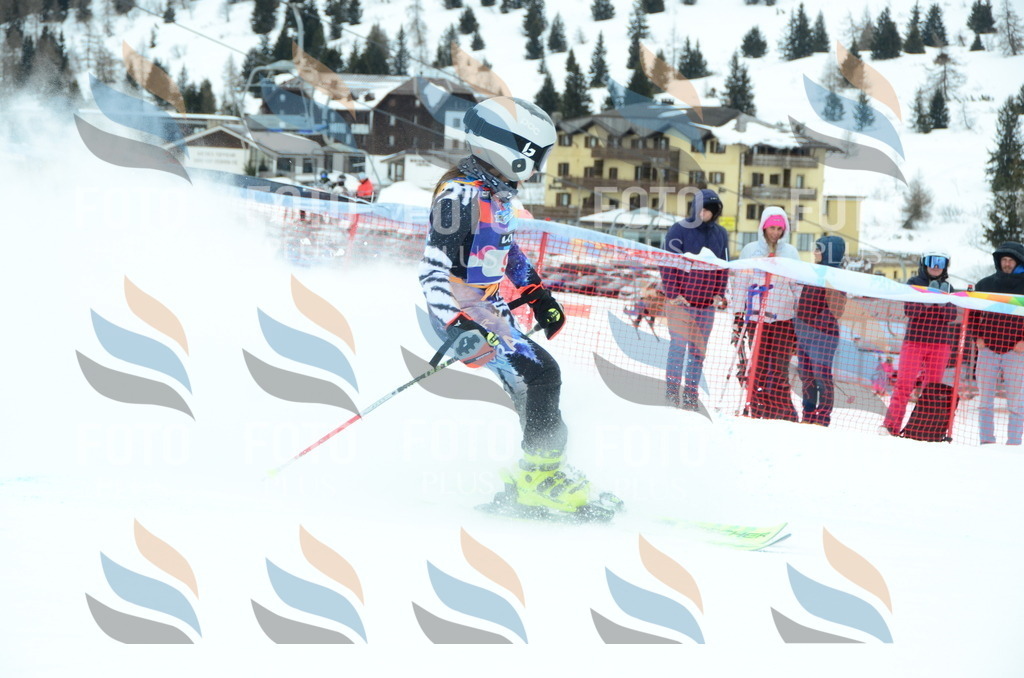 DSC_0698 | holidayphoto