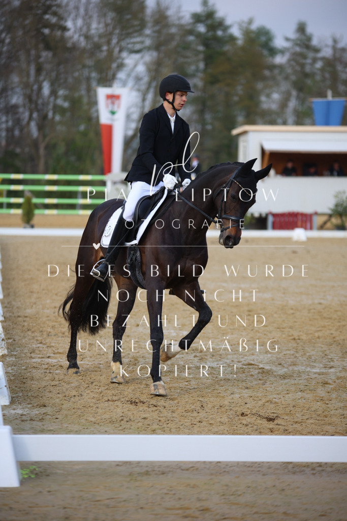 IMGT8732 | pl-fotografie