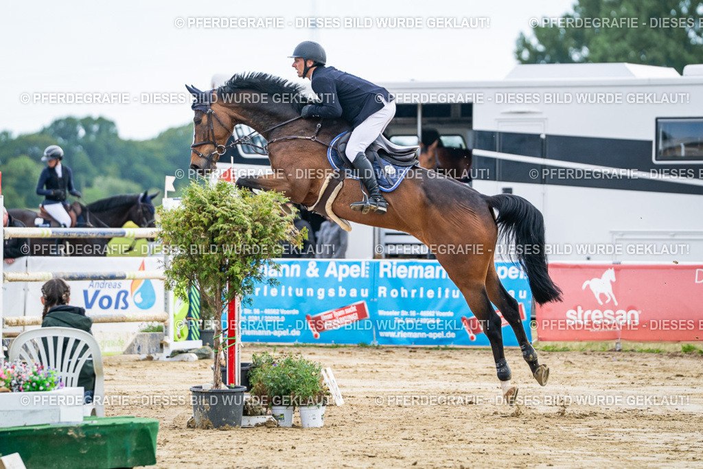 DSC06837 | Pferdegrafie