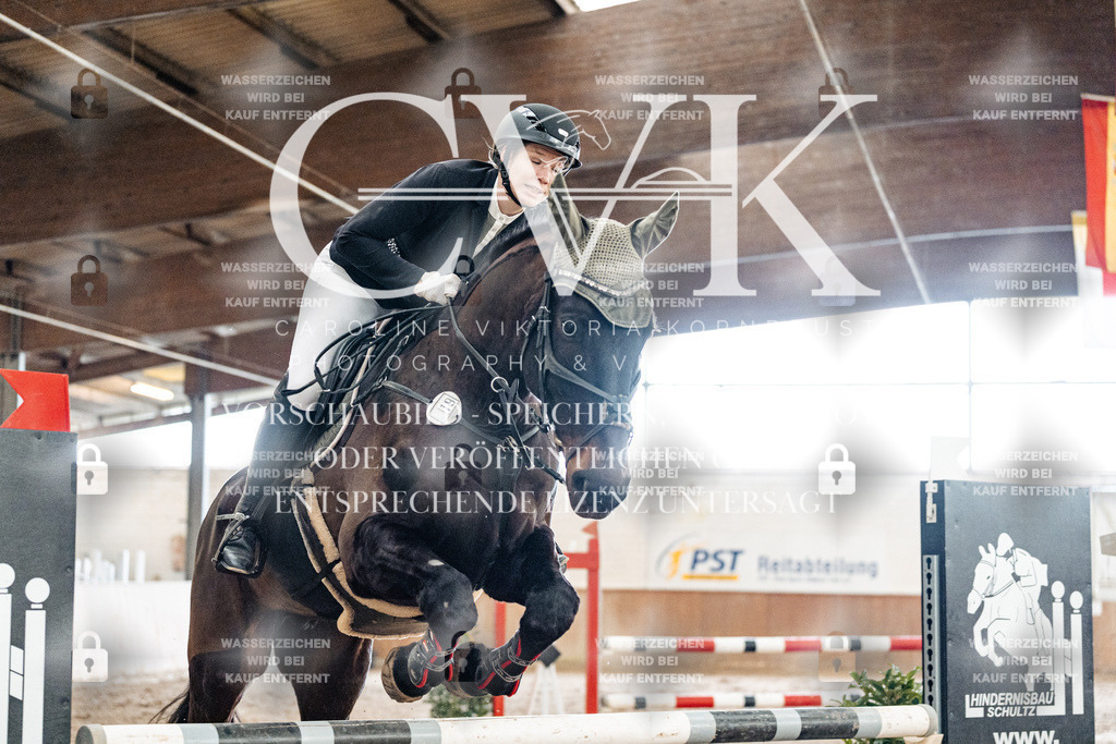 CK906192 | Turnierfotografie Pferdefotografie Trier Rheinland-Pfalz Pferdesport Reitsport Tierfotografie Sportfotografie Pferdevideo Pferdevideografie Equestrianvideography equestrianphotography  - Realisiert mit Pictrs.com