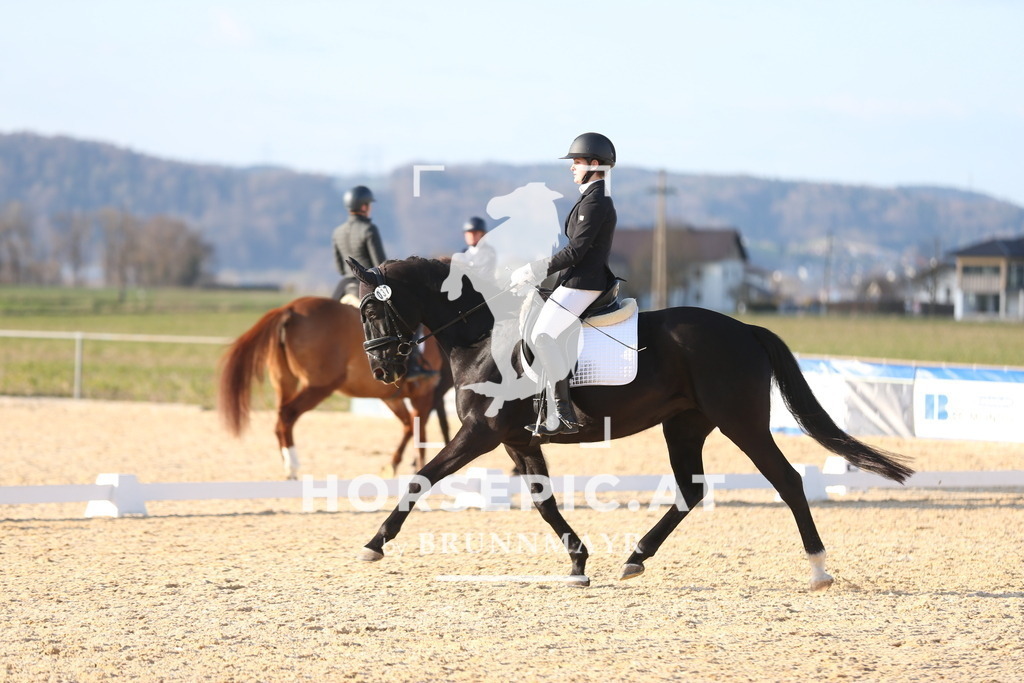 AS8V2163 | Willkommen bei Brunnmayr - Design & Fotografie – Ihrem Spezialisten für Reitturniere und Pferdeveranstaltungen in Oberösterreich, Salzburg und Bayern! Seit über 17 Jahren sind wir leidenschaftlich dabei.