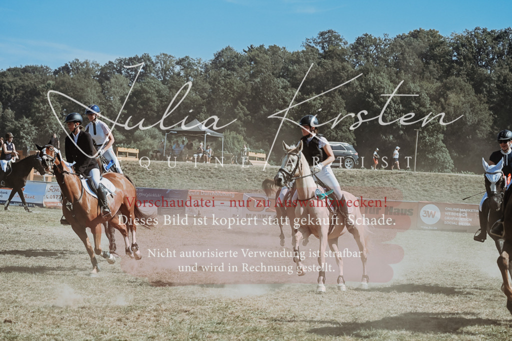 DSC_0170 | Pferde- und Turnierfotografie in Westsachsen. Pferdeportraits, Auftragszeichnungen und intuitive Kunst.