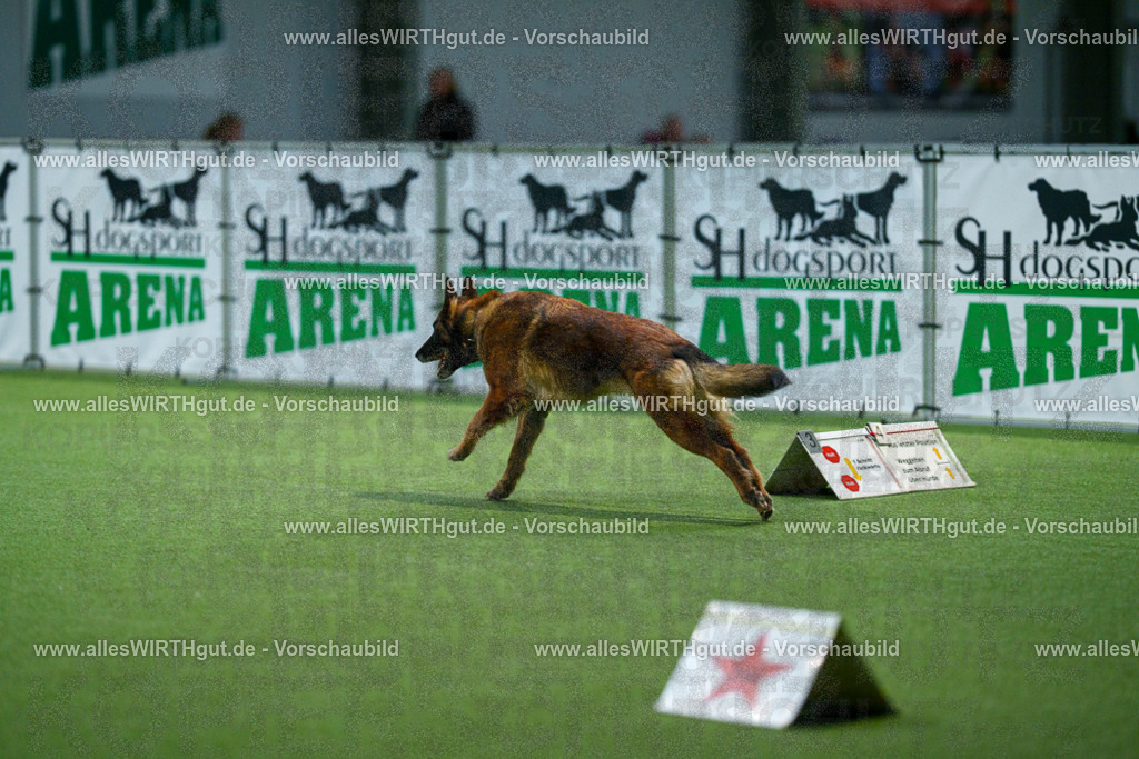 7R505596 | Professionelle Tierfotografie in Mönchengladbach von Daniel Wirth (allesWIRTHgut). Liebevolle & natürliche Bilder von Hunden & Katzen für unvergessliche Erinnerungen.