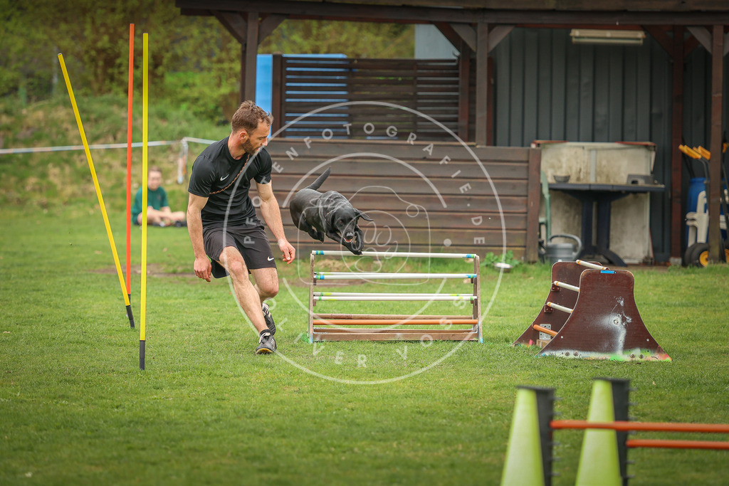 Pfotenfotografie_0L8A0338 | Hundefotografie, Tierfotograf, Pfotenfotografie, Fotoshooting Hund, Hunde Portrait, Hundesport, Hundeportraits, Heideshooting, Hunde, Sportfotograf, Hundefotograf, Turnierhundsport, THS,  - Realisiert mit Pictrs.com