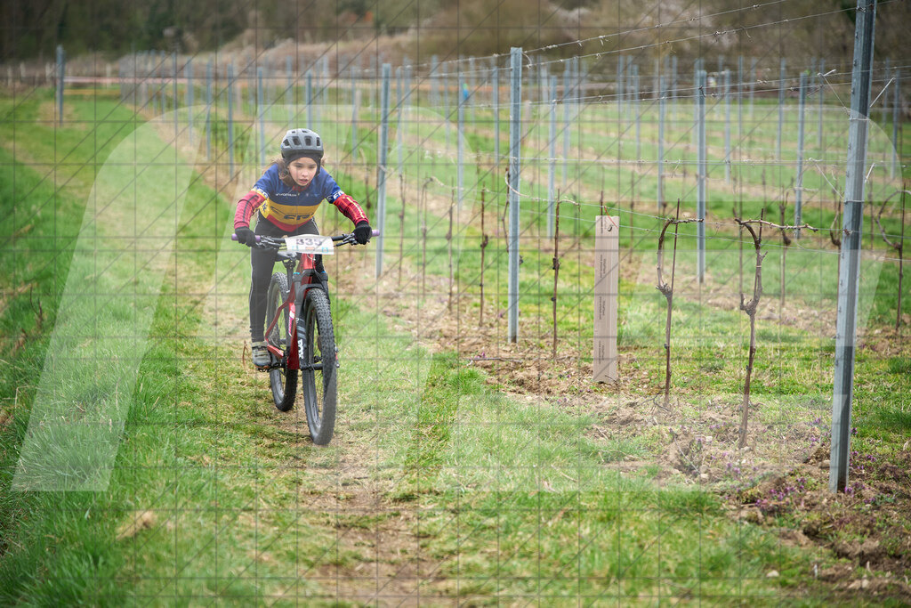 34. KTM Kamptal Trophy  | ZÖBING, Österreich – 2026-03-28: 34. KTM Kamptal TrophyFoto: © 2026 Martin Bihounek - MB Creative e.U.