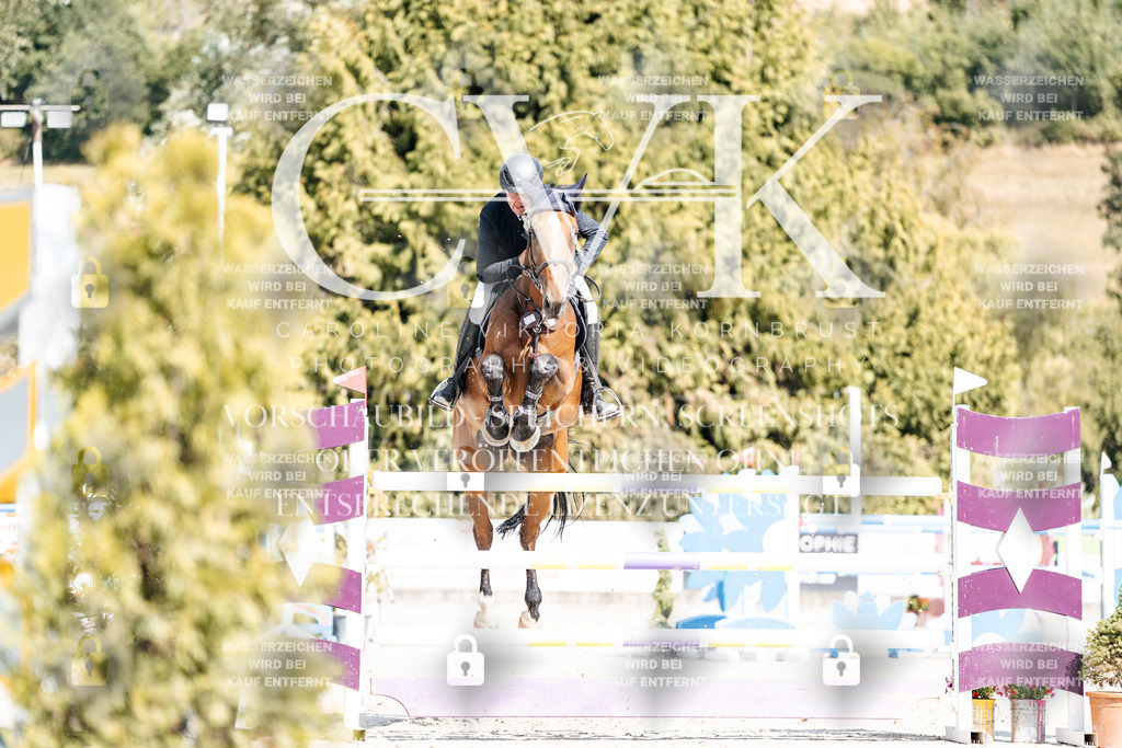 CK908841 | Turnierfotografie Pferdefotografie Trier Rheinland-Pfalz Pferdesport Reitsport Tierfotografie Sportfotografie Pferdevideo Pferdevideografie Equestrianvideography equestrianphotography  - Realisiert mit Pictrs.com