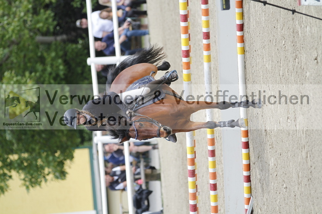 _MG_1306 | equestrian-live-com