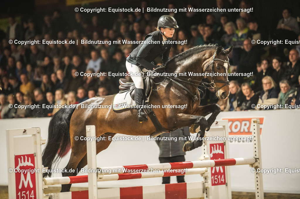 20240302_Hengstvorstellung_Marbach_TOMsPiC_1385 | equistock