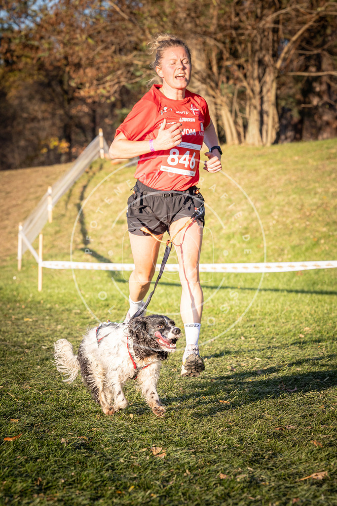 CaniXpix_0L8A0837 | Hundefotografie, Tierfotograf, Pfotenfotografie, Fotoshooting Hund, Hunde Portrait, Hundesport, Hundeportraits, Heideshooting, Hunde, Sportfotograf, Hundefotograf, Turnierhundsport, THS,  - Realisiert mit Pictrs.com