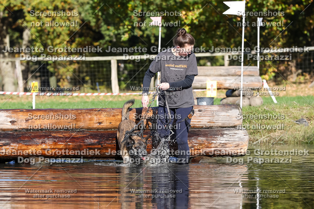 Dog Paparazzi - Strongdog 10-25-8884 | Dog Paparazzi Jeanette Grottendiek Fotografie & Videografie - Realisiert mit Pictrs.com