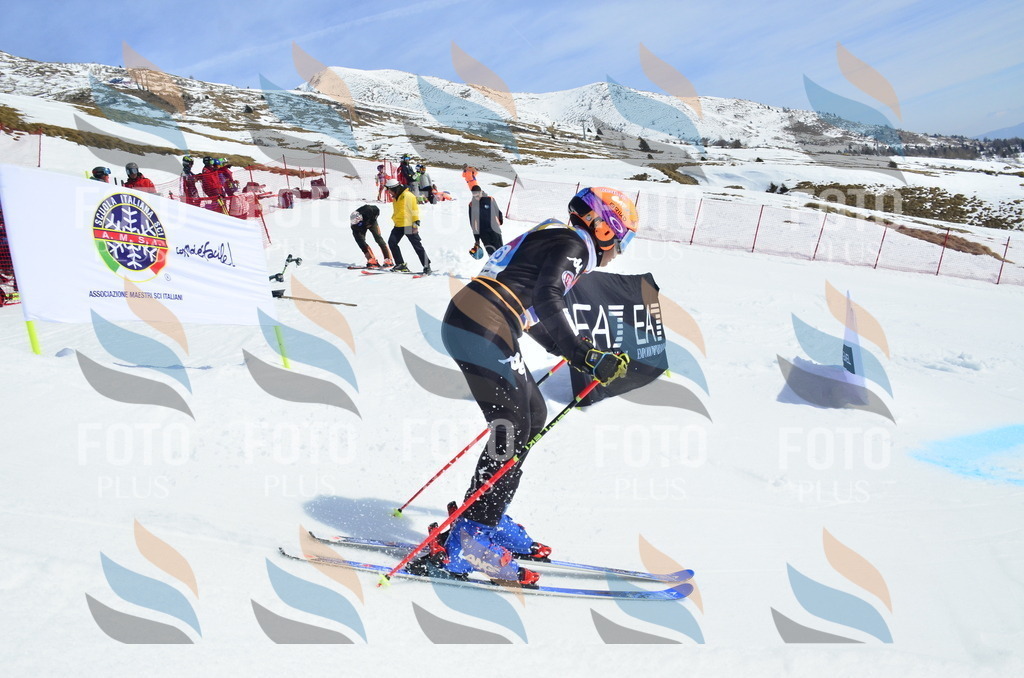 _ELE1268 | holidayphoto