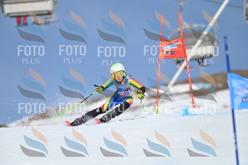 BGV_0832 | holidayphoto