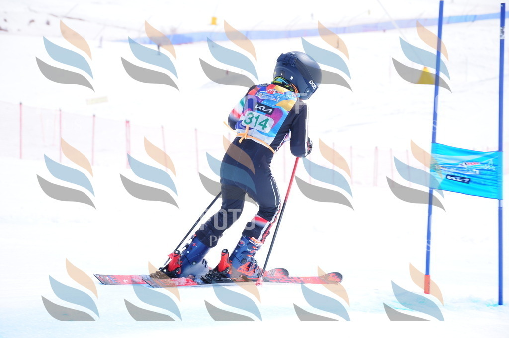 DSC_3042 | holidayphoto