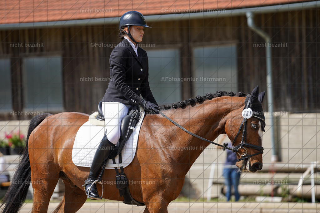 20240519-FAH05028 | Turnierbilder Niederseeon 2024, Vielseitigkeitsdressur, Reitsportbilder aus dem Landkreit Ebersberg, Gut Steinsee, RC Steinsee, Fotoagentur Herrmann